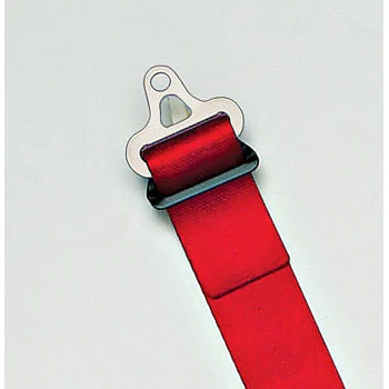 Schroth Formula 2x2 Harness - Image 5
