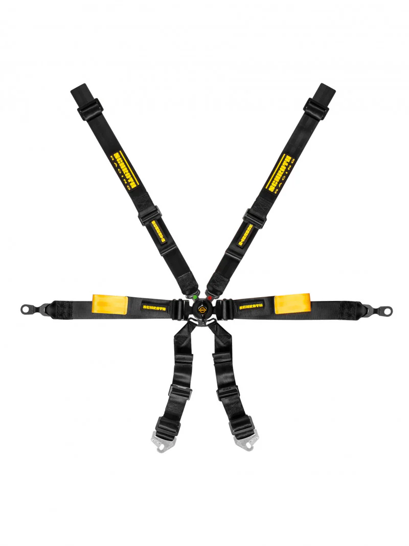 Schroth Porsche GT3 Enduro 2X2 Harness - Image 2