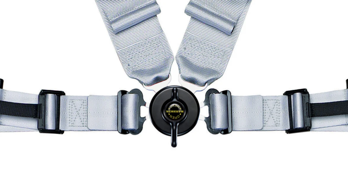 Schroth Profi II ASM - Image 4